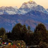 POON HILL, the terrace on the himalayas